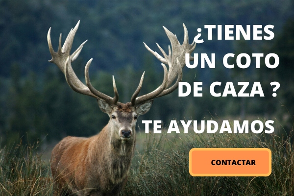 Te ayudamos con la gestión de tu coto de caza